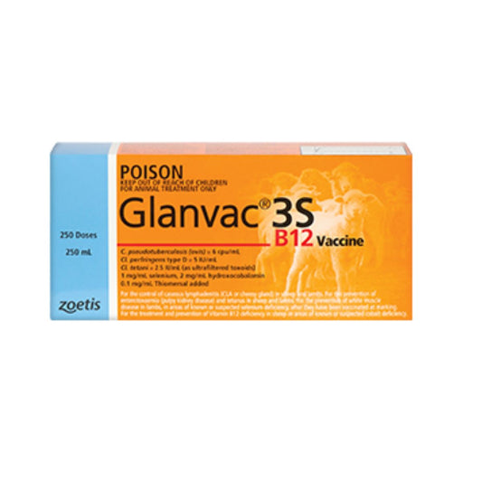 Glanvac 3S B12