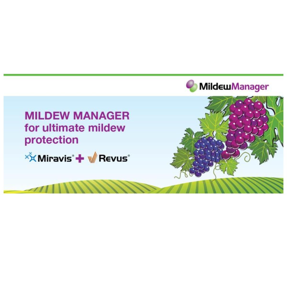 Mildew Manager 20L