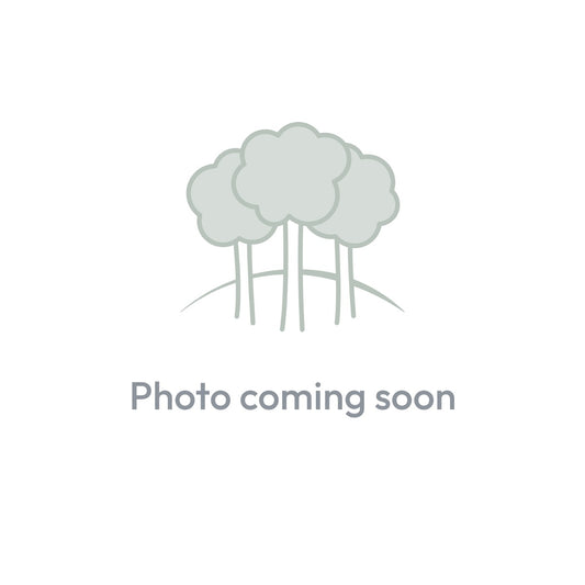 Photo coming soon