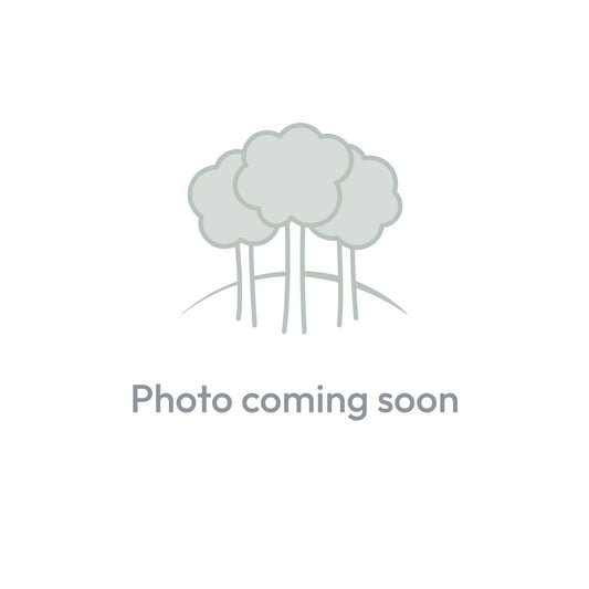 Photo coming soon
