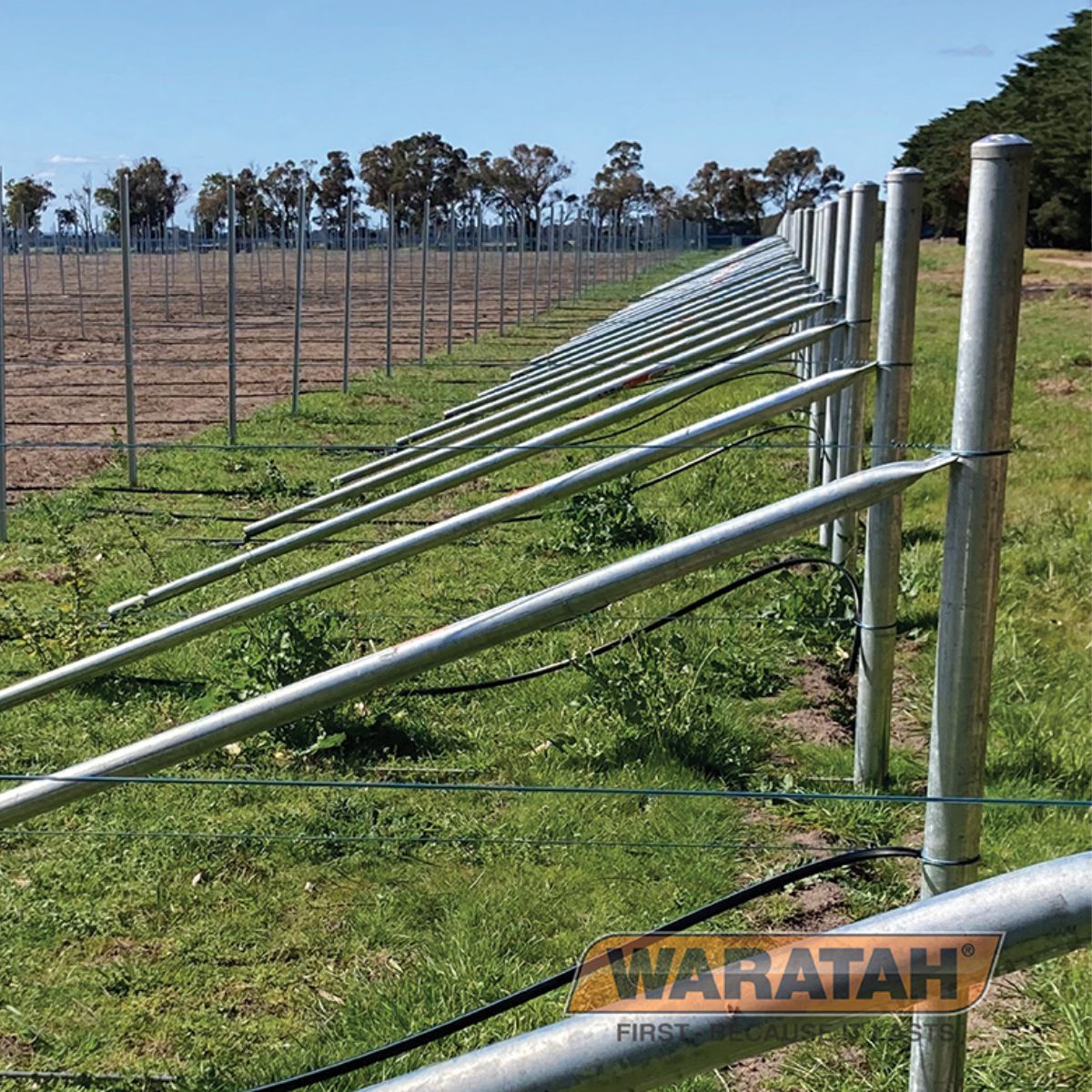 Waratah Adjusta-Stay with 50mm Poly Pad