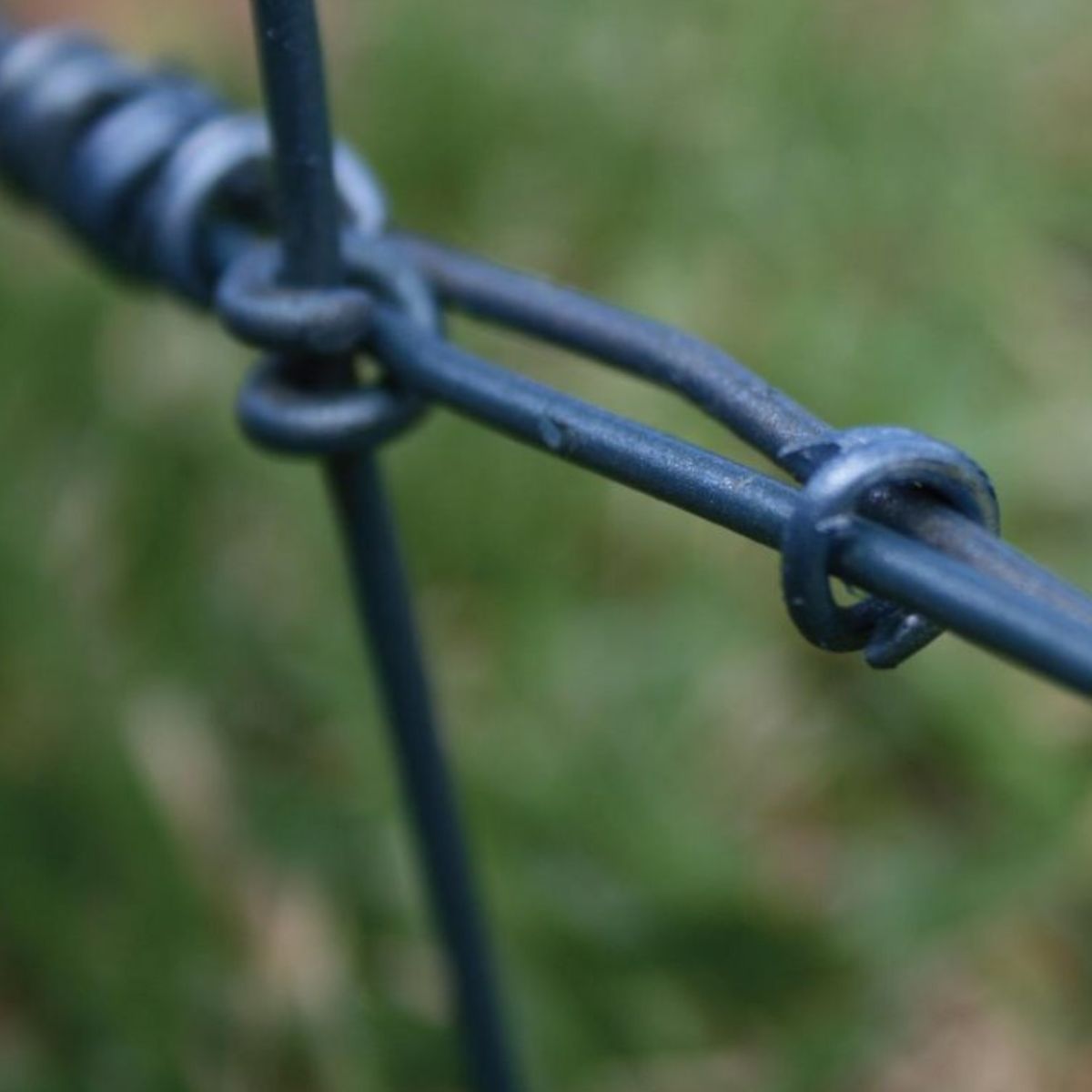 Waratah Ringmaster Clips 1.8mm