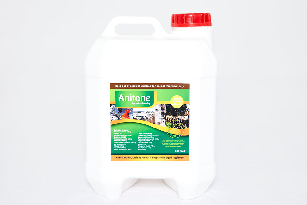 Anitone 10L liquid tonic for horses