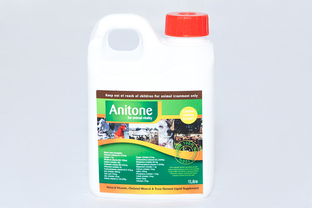 Anitone 1L liquid tonic for horses