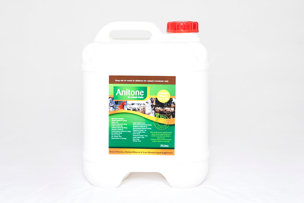 Anitone 20L liquid tonic for horses